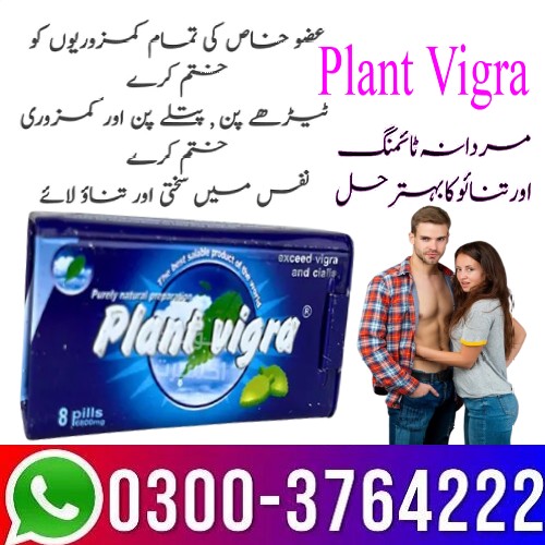 Plant Vigra Price in Pakistan