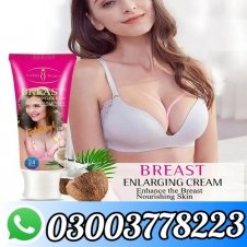 Aichun Beauty Breast Enlargement Cream 120gm