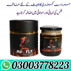 Max Fly Macun 240g Honey in Pakistan